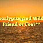 **Eucalyptus and Wildlife: Friend or Foe?**