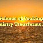 ﻿The Science of Cooking: How Chemistry Transforms Food