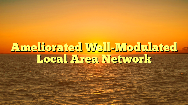 Ameliorated Well-Modulated Local Area Network Ameliorated Well-Modulated Local Area Network